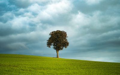 People In The Quran: The Story Of Adam And Eve In The Quran