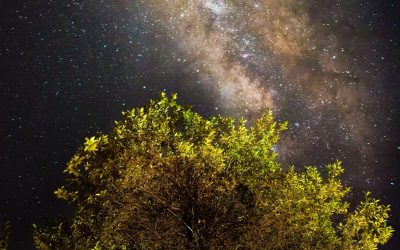 Surah Maryam: Yahya’s Wisdom