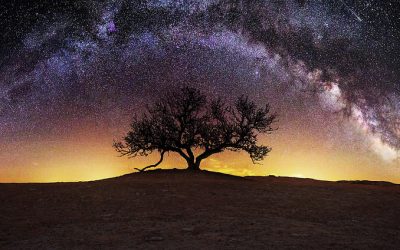 Surah Maryam: Yahya’s Wisdom
