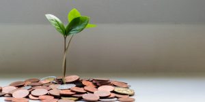 zakat-facts-and-rules