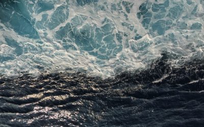 People In The Quran: The Story of Moses (Part 2)