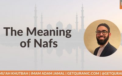 The Meaning of Nafs