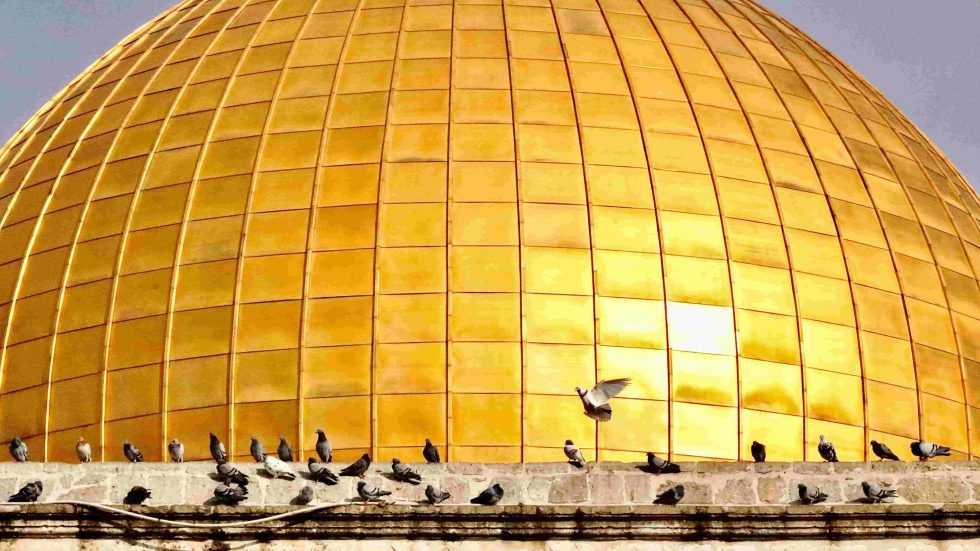 birds perched on aqsa dome